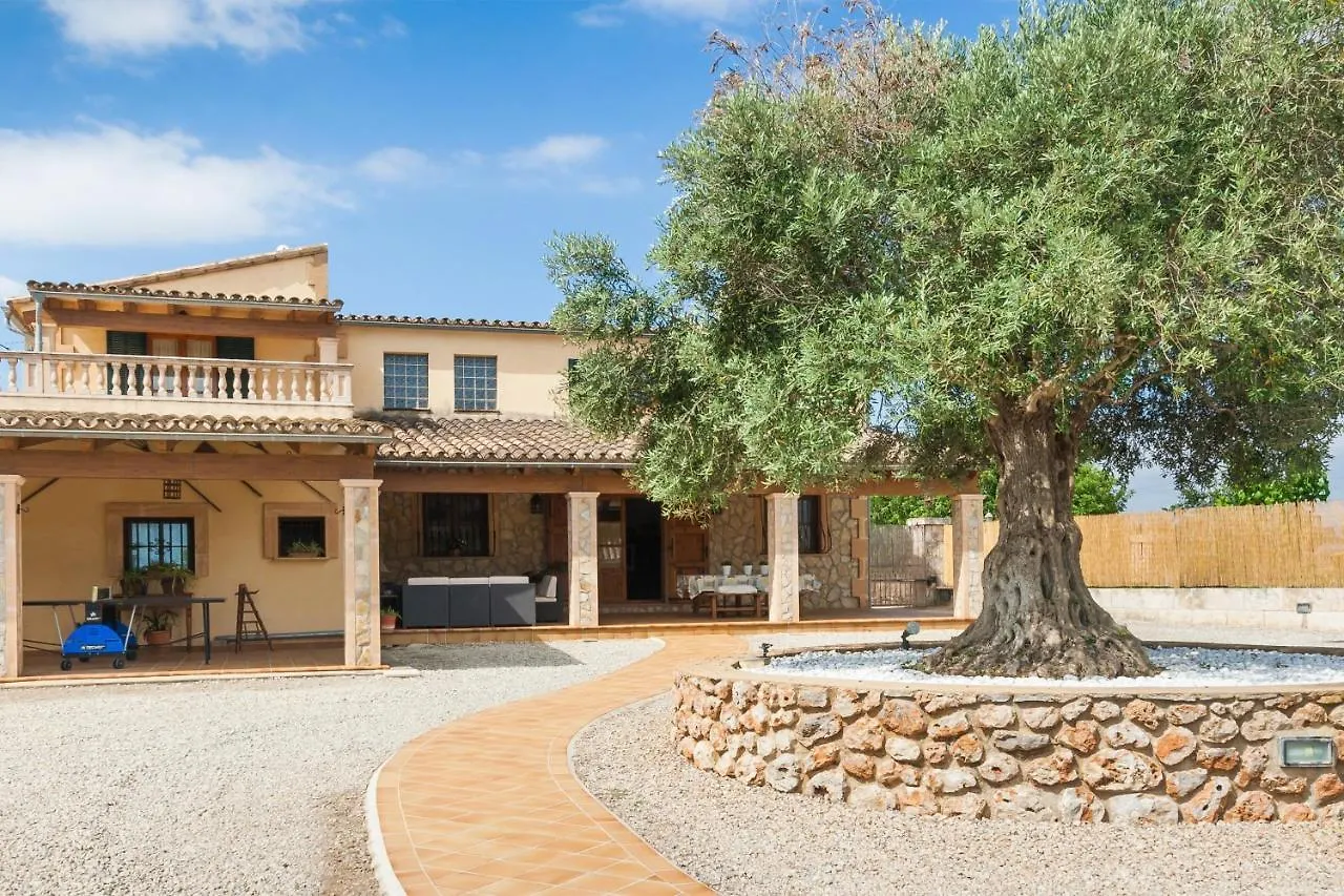 Finca Can Mostaxet Muro